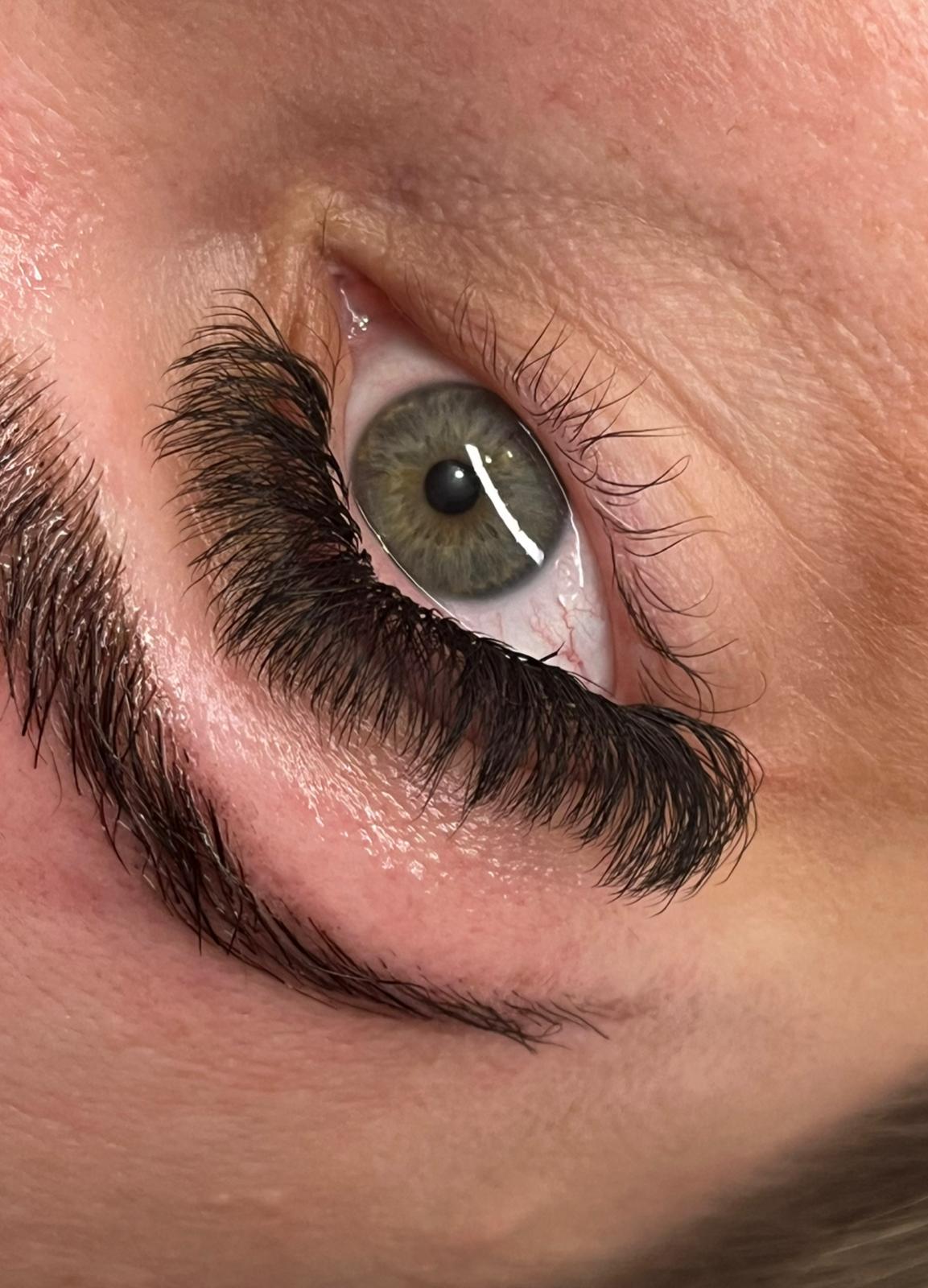 8D Clover Lash Mixed Tray (16 Rows)