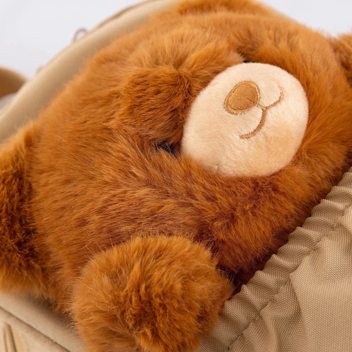 HelloBaby Boys Kids Bag - Brown