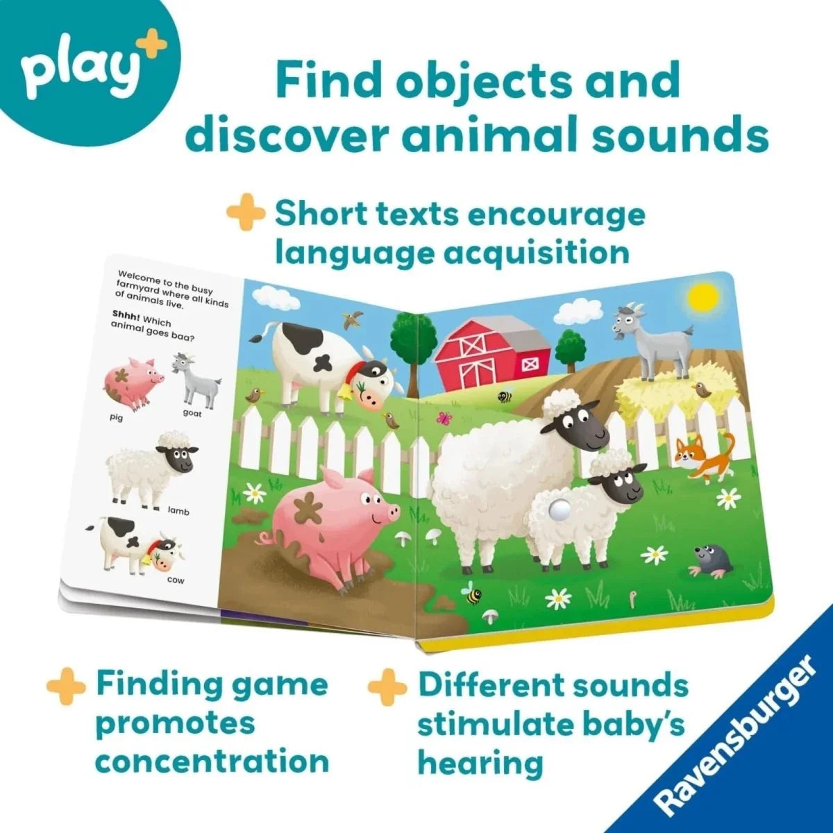Play+ Shh... Who's there? Baby Animals Book with Sounds