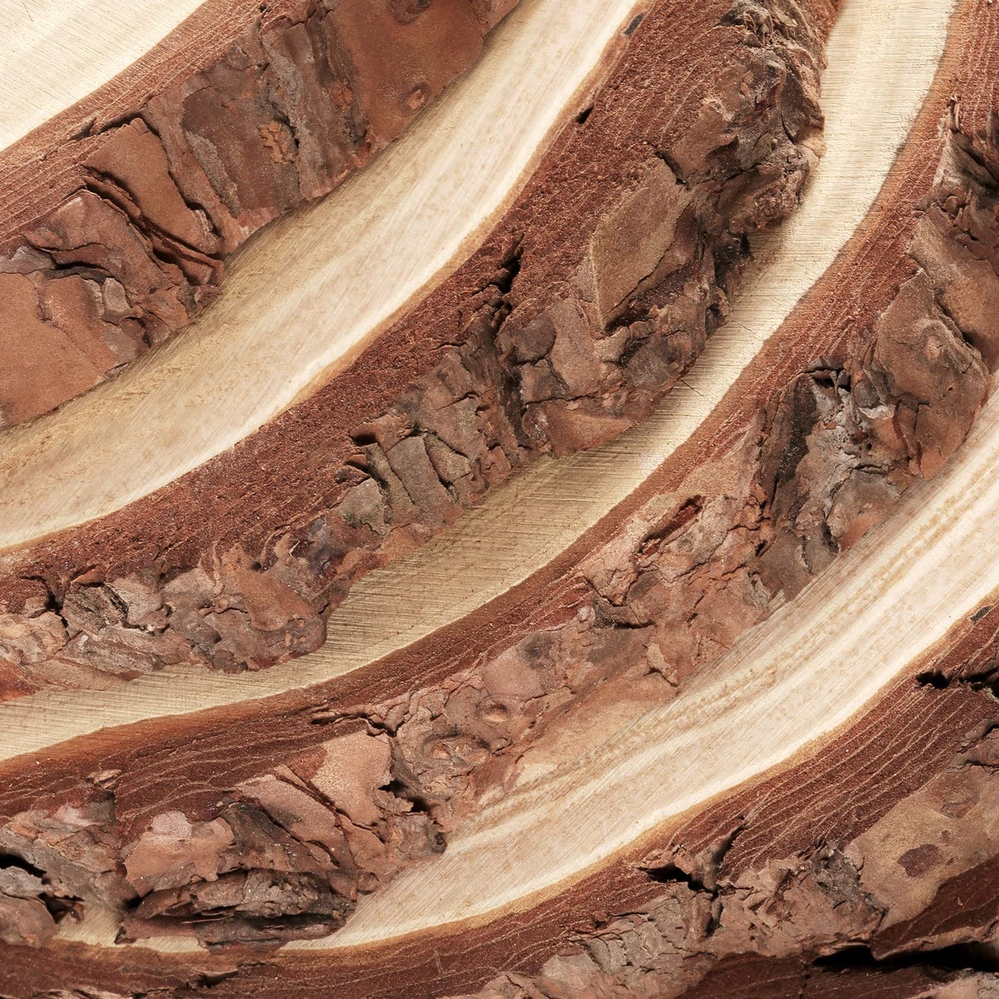 PINGEUI 6 Piece Natural Wood Slices, 23-25 cm Unfinished Wooden Circles with Bark Round Blank Wooden Slices Wood Discs for DIY Crafts, Christmas