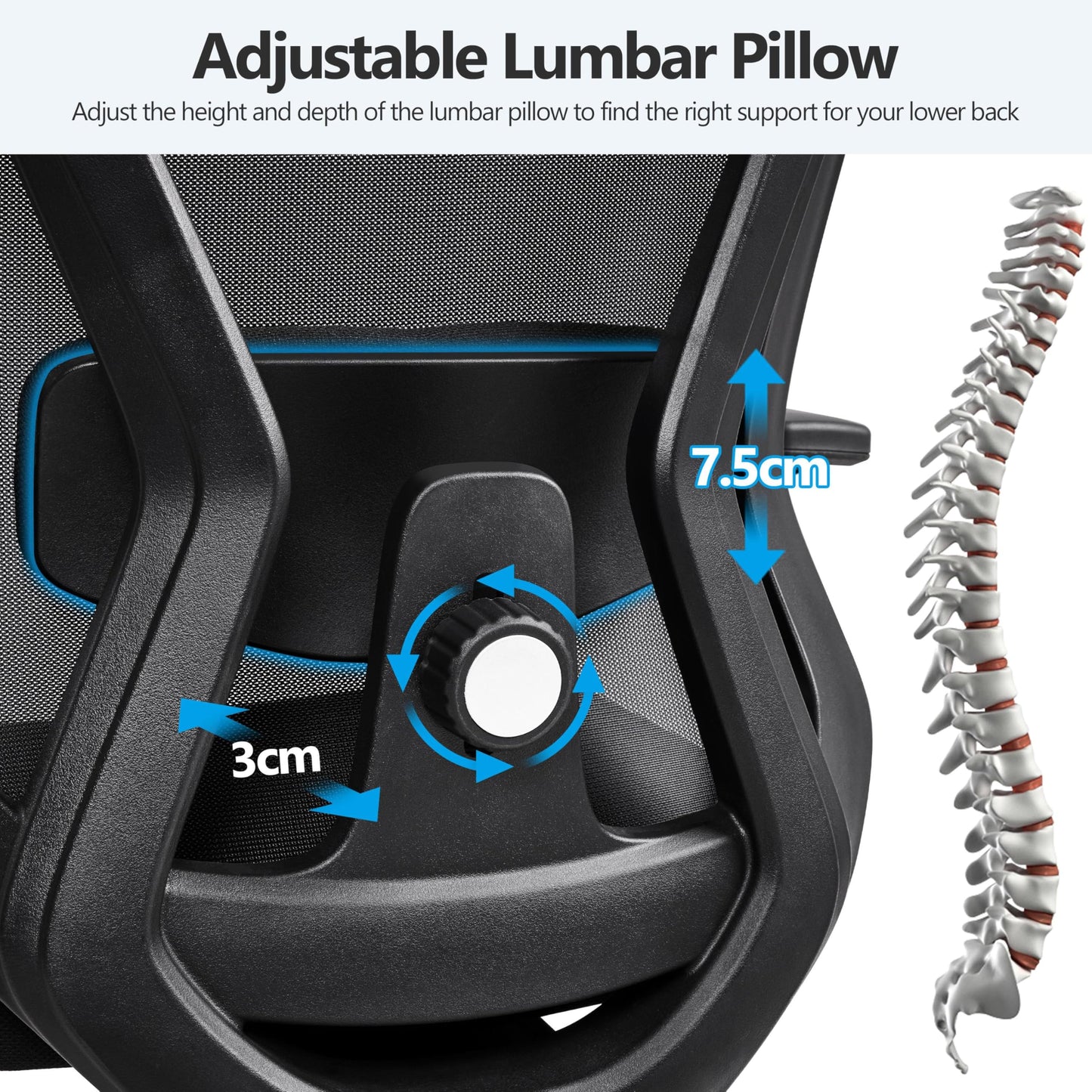 Yaheetech Ergonomic Desk Chair with Adjustable Lumbar Support Black