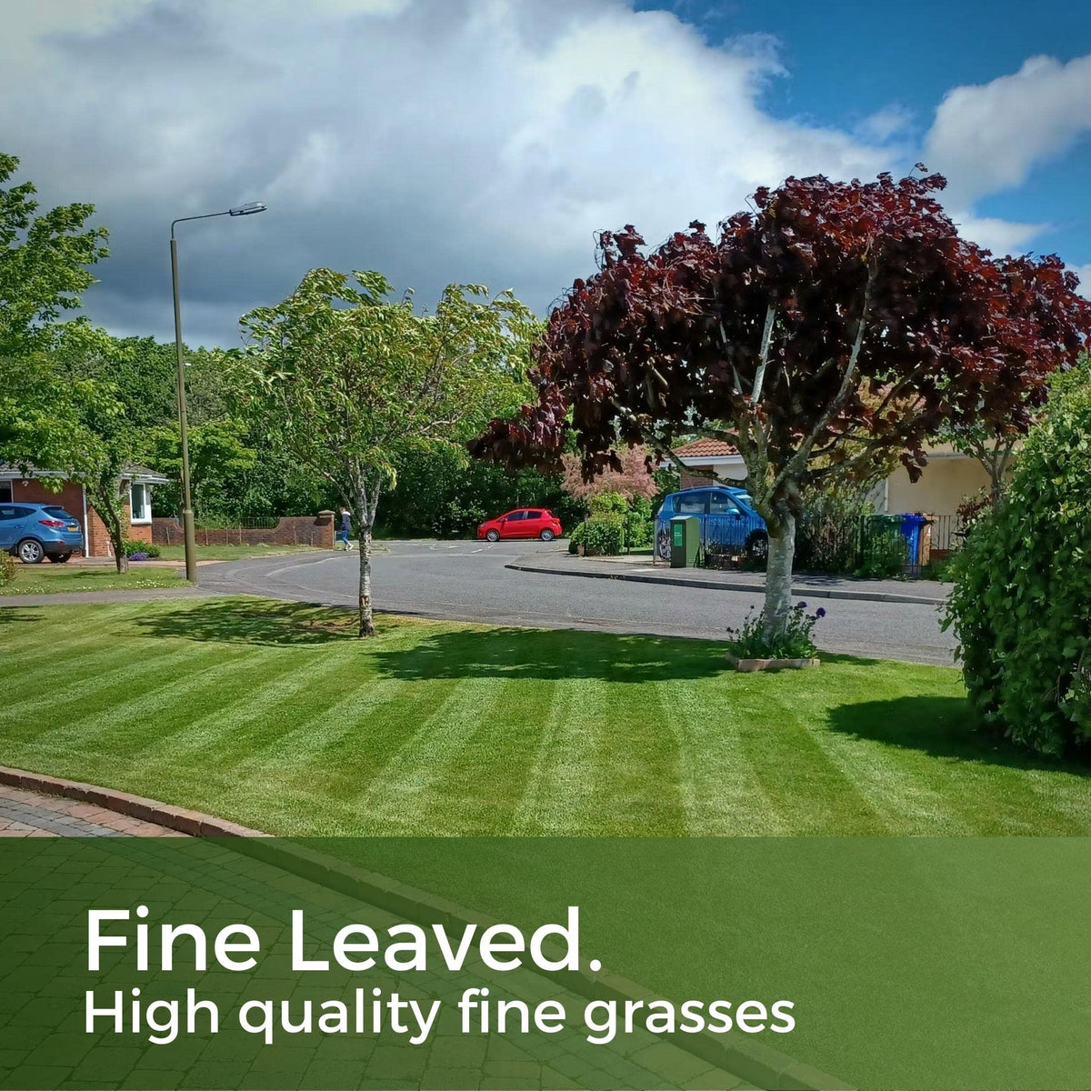 Shade & Sun Grass Seed - Shady Mix Lawn Seed - Grows in Sun and Shade - 5kg - Garden Lawncare Guy
