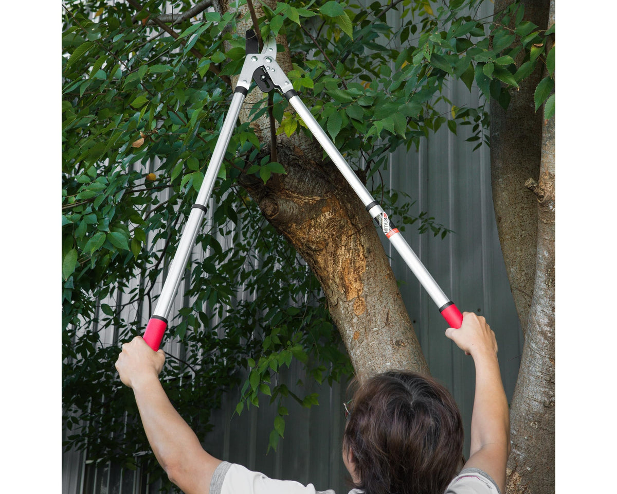Kimura? Pro Heavy Duty Garden Loppers - Premium Anvil Lopper with Advanced Ratchet Mechanism, Lightweight Telescopic Handles, Japanese SK5 Steel