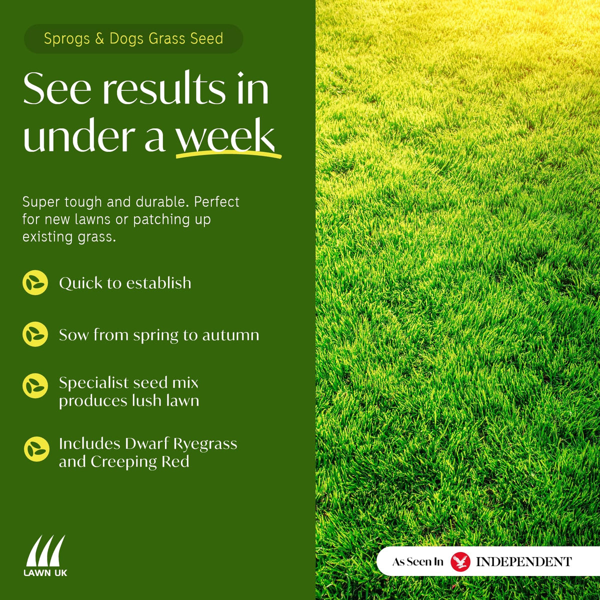 Sprogs & Dogs Ultra Hardwearing Grass Seed by Lawn UK - 5kg Up to 150sqm Coverage - Ultimate Tough Grass Seed for Family lawns - Fast Growing & Super