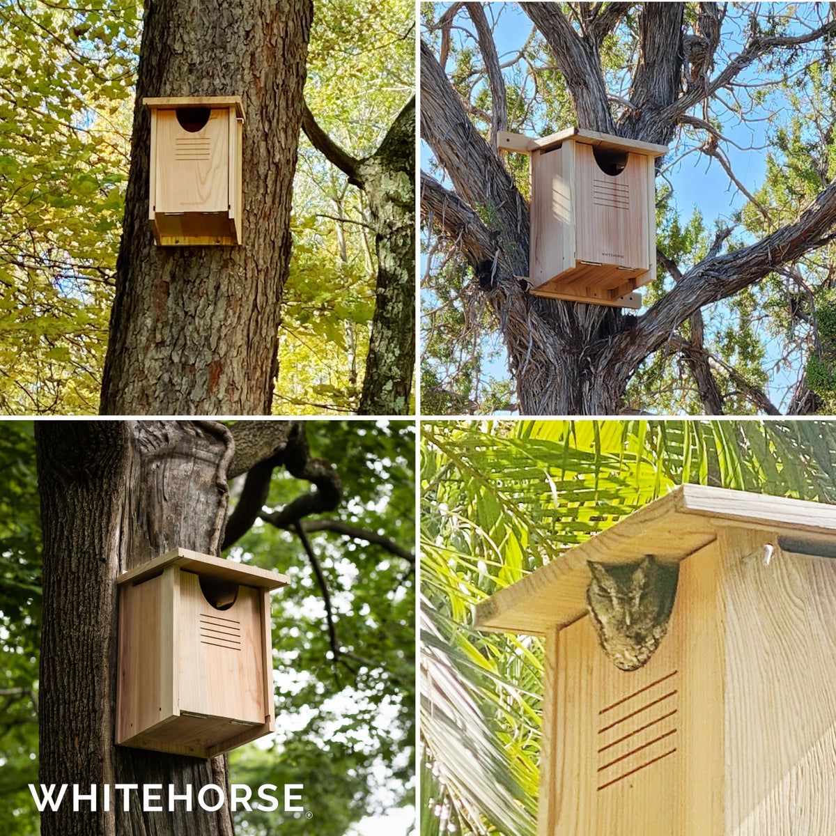 WHITEHORSE Large Owl House - Premium Cedar Wood - Weatherproof Design - 41 x 30 x 28 cm - A Nesting Owl Box for Several UK Owl Species