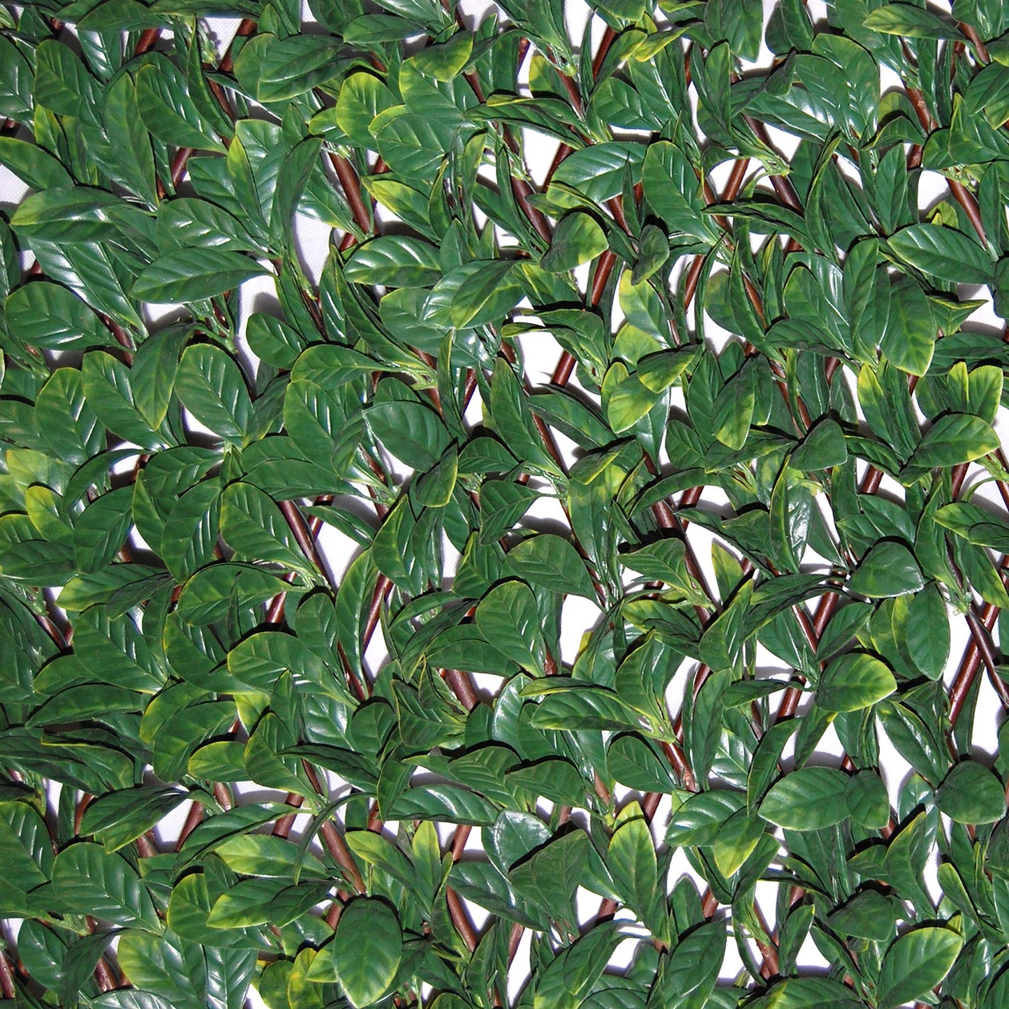 Tenax 1A150277 Synthetic Hedge on Extendible Trellis 200 x 4 x 100 cm Green