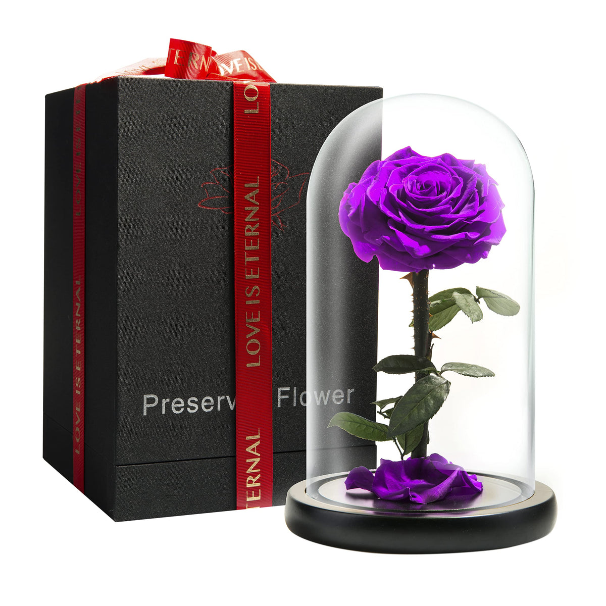 LOVAPPY Preserved Forever Rose in Glass Dome - Beauty and the Beast Romantic Gifts for Her - Eternal Rose Preserved Flowers - Preserved Rose Mother