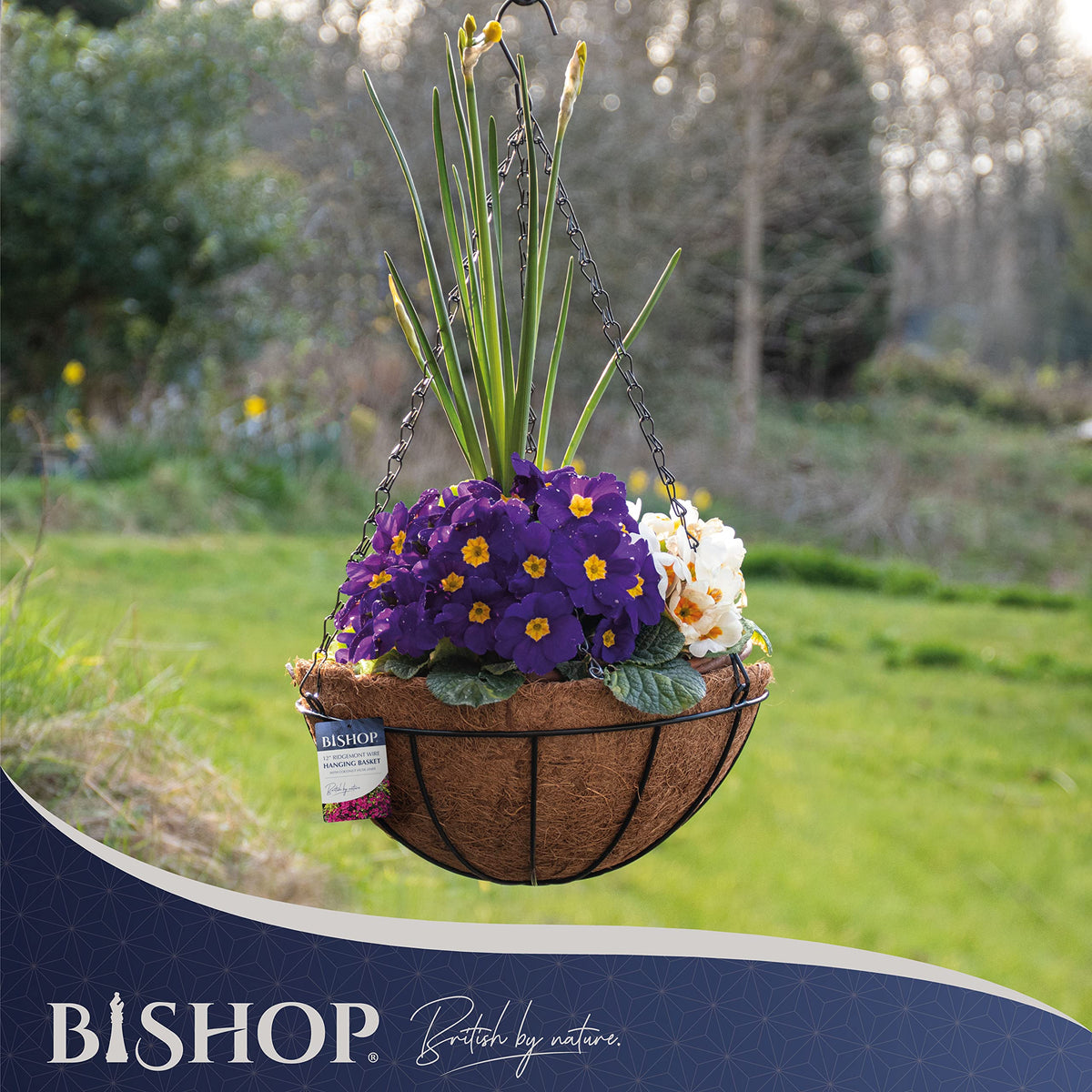 Bishop Hanging Basket With Liner ? Includes Coco Liners for Hanging Baskets, 12 inch Black Wire Basket ? Ideal Gardening Gifts For Mum ? Great Garden