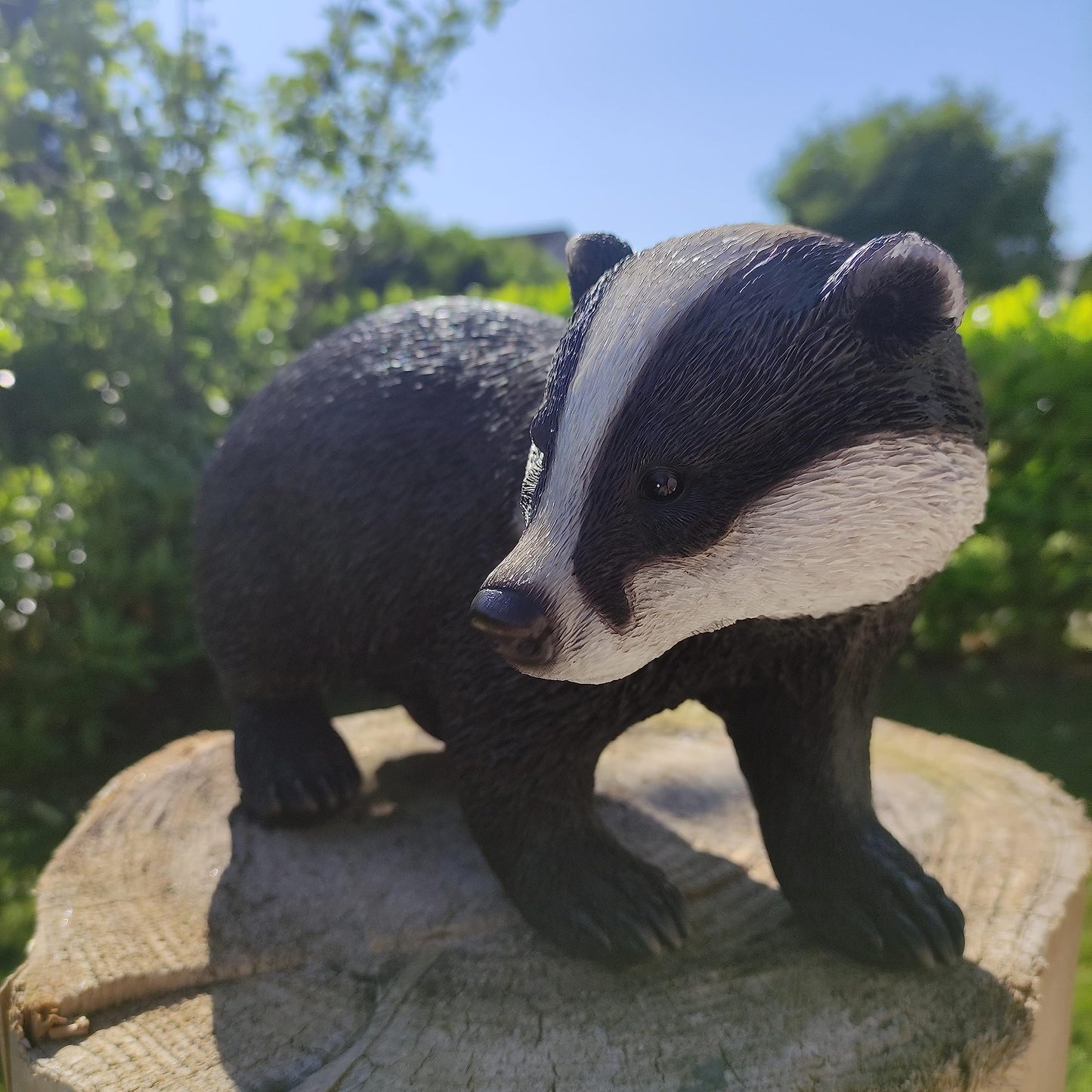 Real Life Woodland Badger | Highly Detailed Frost Resistant Resin Home or Garden Decoration | XRL-BADG-D