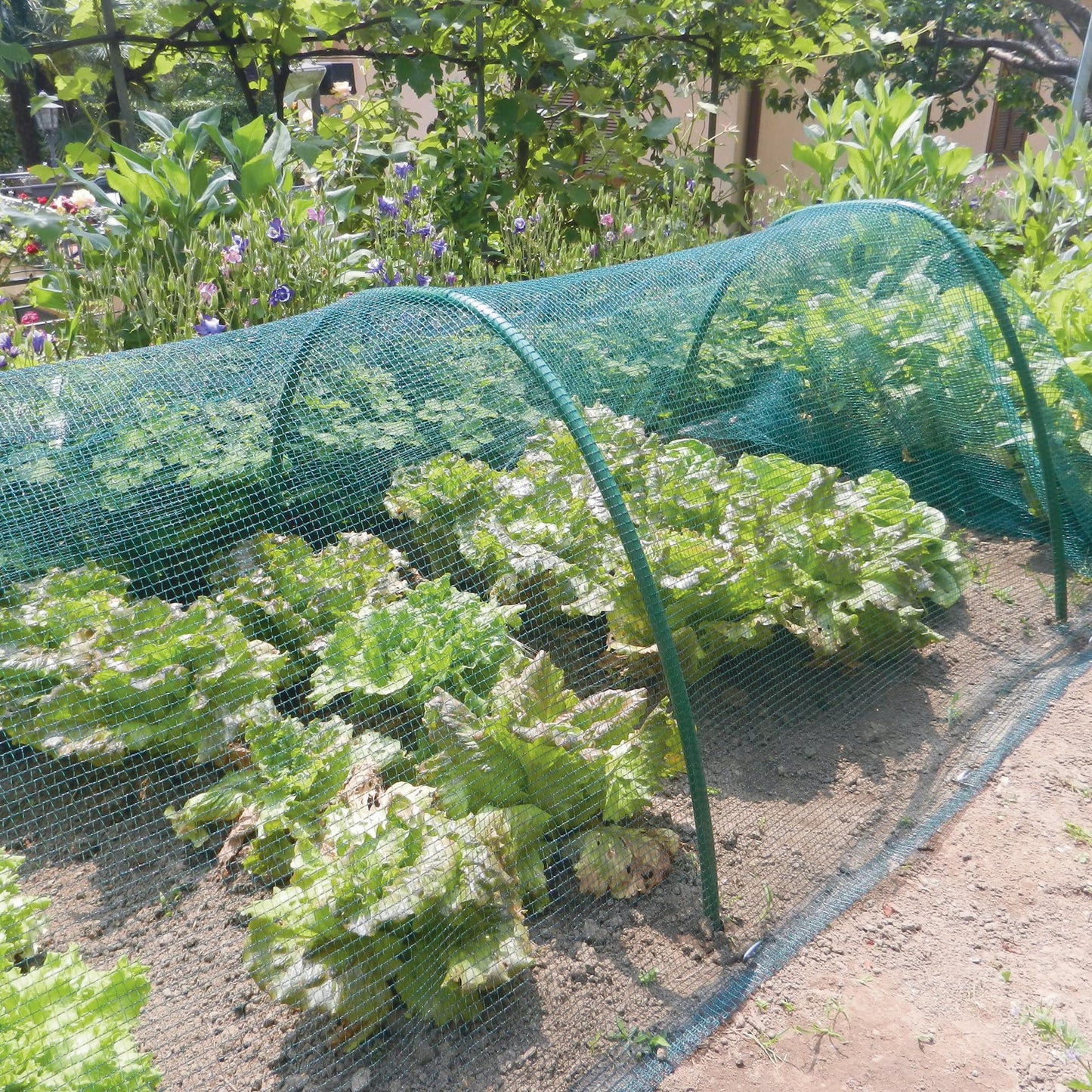 Woven Mesh 6,00 x 10 m green