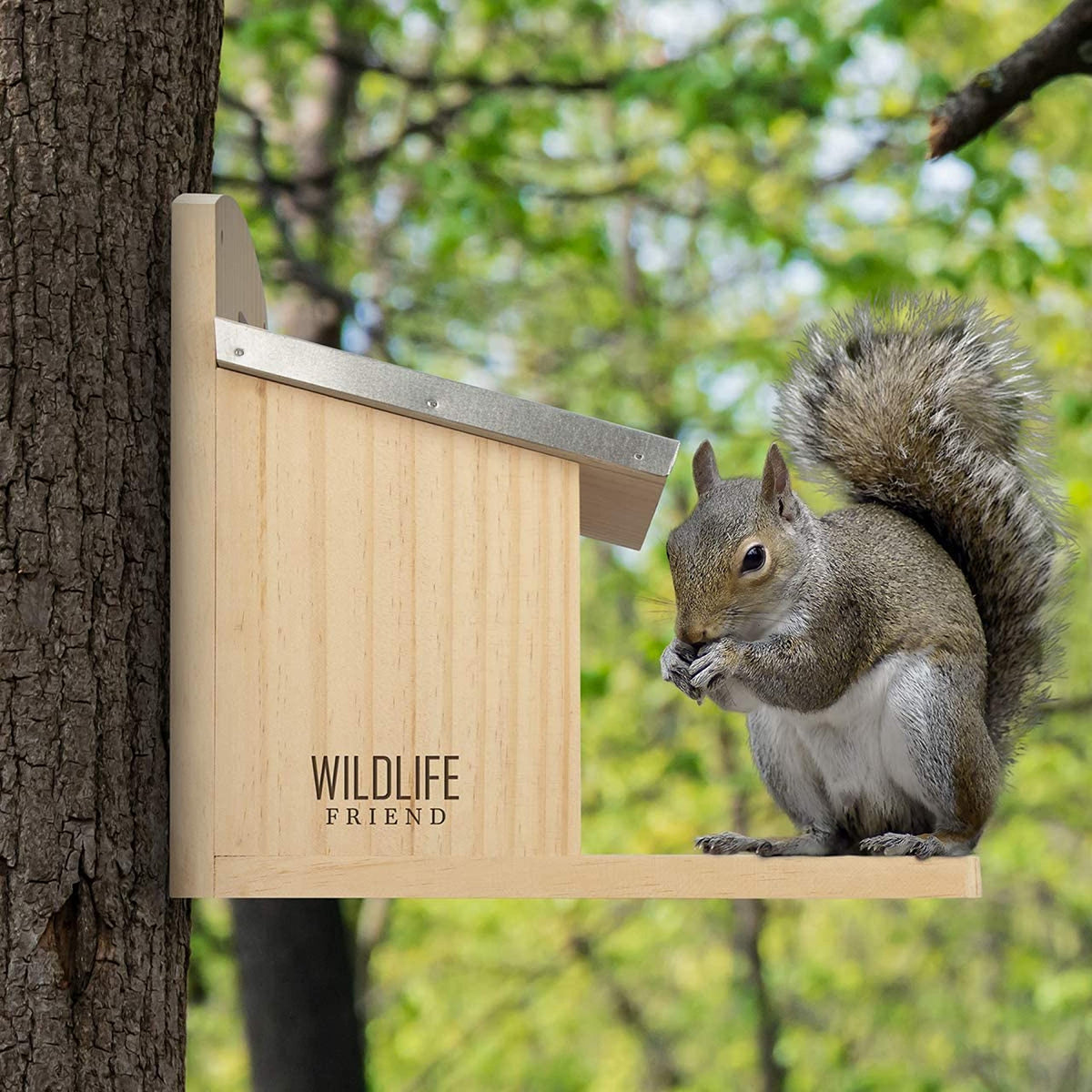Squirrel Feeder Maxi - Extra Large and Stable - with Metal Roof, Natural Wood with Extra Long Feeding Platform - Hanging Feeding Station, Squirrel
