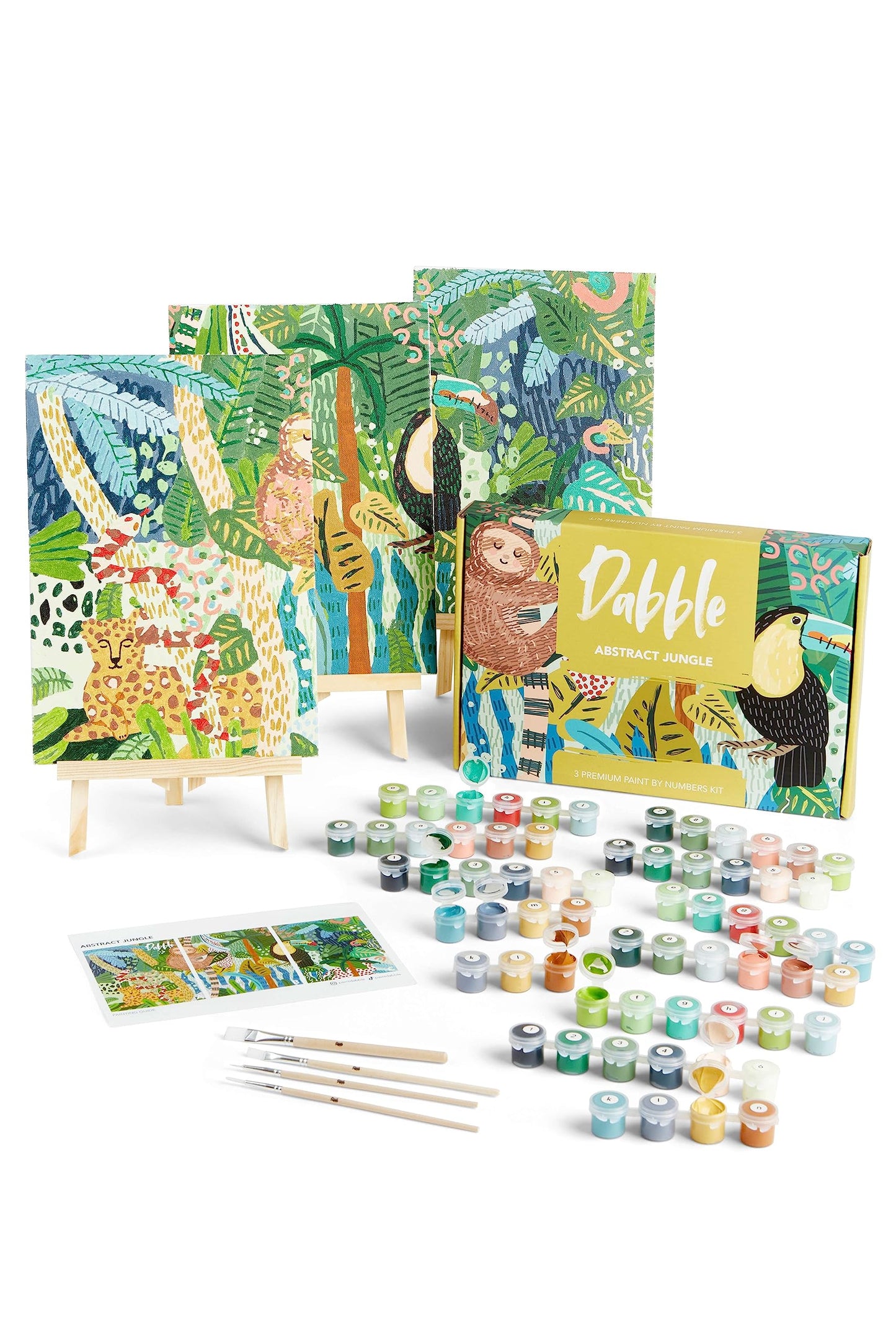 Dabble Paint by Numbers Kits ? Set of 3 Paint by Numbers for Adults Beginners with Canvas Frame, Painting Kits for Adults, Flowers Designs