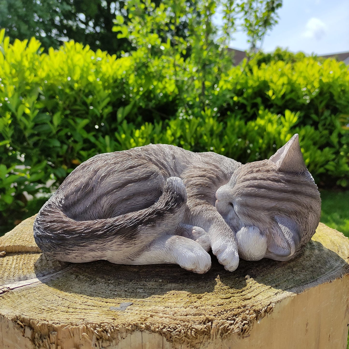 Vivid Arts Tabby Size B Real Life Sleeping Cat