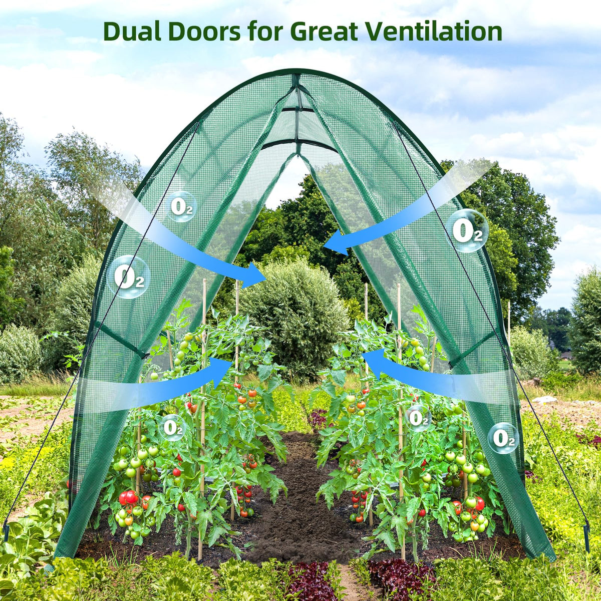 Ohuhu Portable Tunnel Greenhouse Outdoor: Heavy Duty Walk in Green House with Mesh Windows Durable Plastic PE Cover for Outside, 1.8x1.8x2m, Green