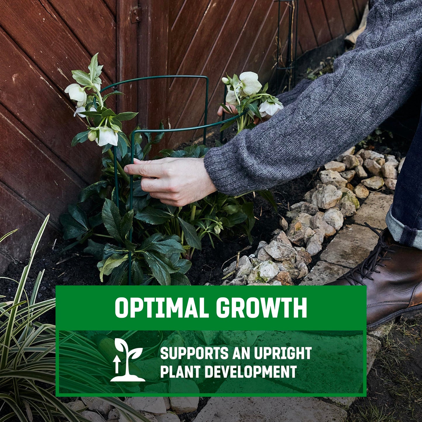 GardenGloss Shrub Supports (5 pcs) - Semicircular 100cm x 40cm - Dark Green Coated Steel Plant Support