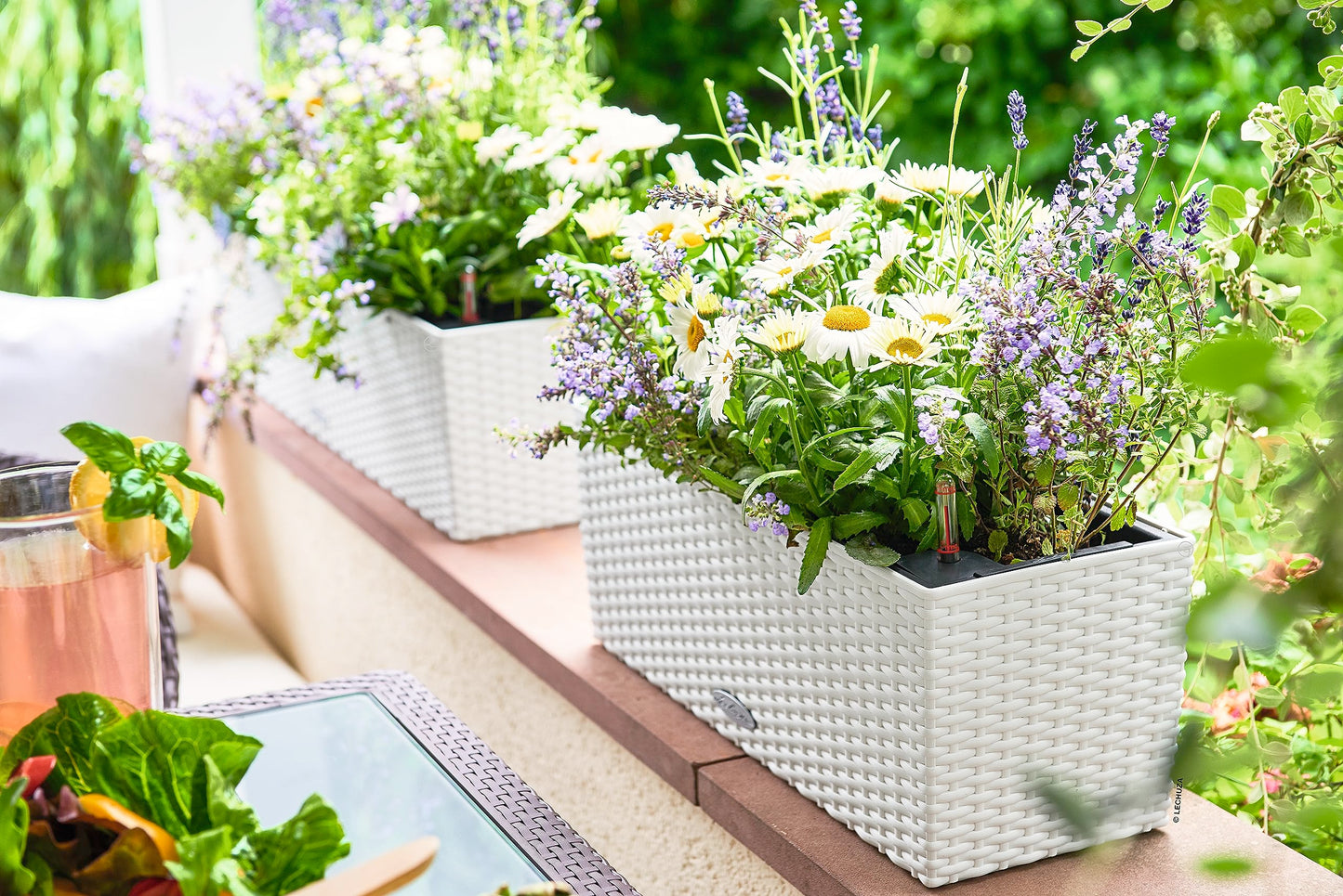 Lechuza BALCONERA Cottage 50 Self Watering Planter Plastic Indoor/Outdoor Flower Rattan Look Plant Pot Table and Window Box with Drainage Hole H19 L50