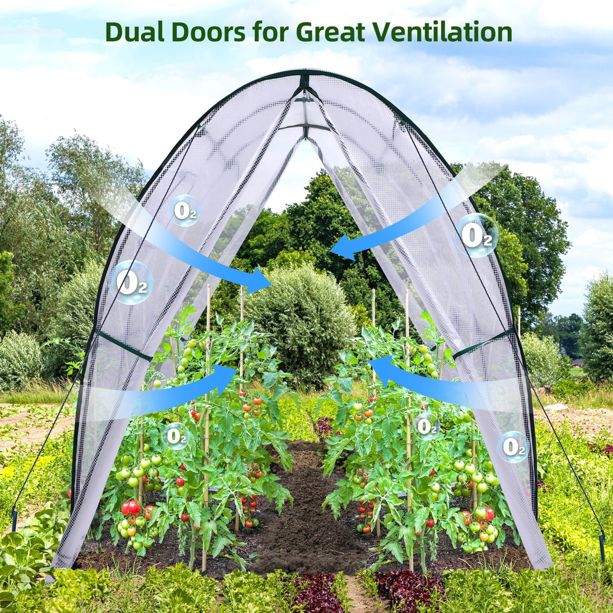 Ohuhu Portable Tunnel Greenhouse Outdoor: Heavy Duty Walk in Green House with Mesh Windows Durable Plastic PE Cover for Outside, 1.8x1.8x2m, White