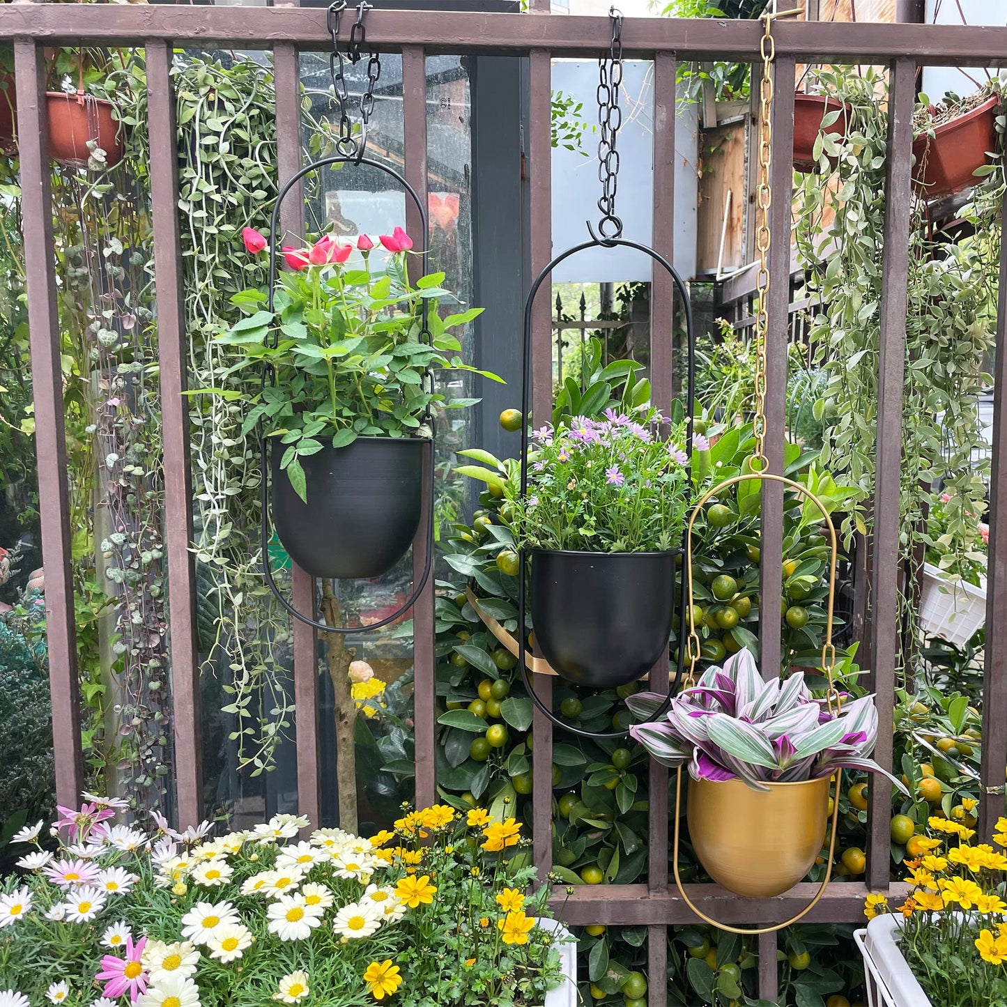 VDYXEW Metal Hanging Flower Pot, Hanging Decoration Pot, Metal Black Bolo Hanging Basket, Ceiling Hanging Planter for Indoor Plants, Succulents, Air