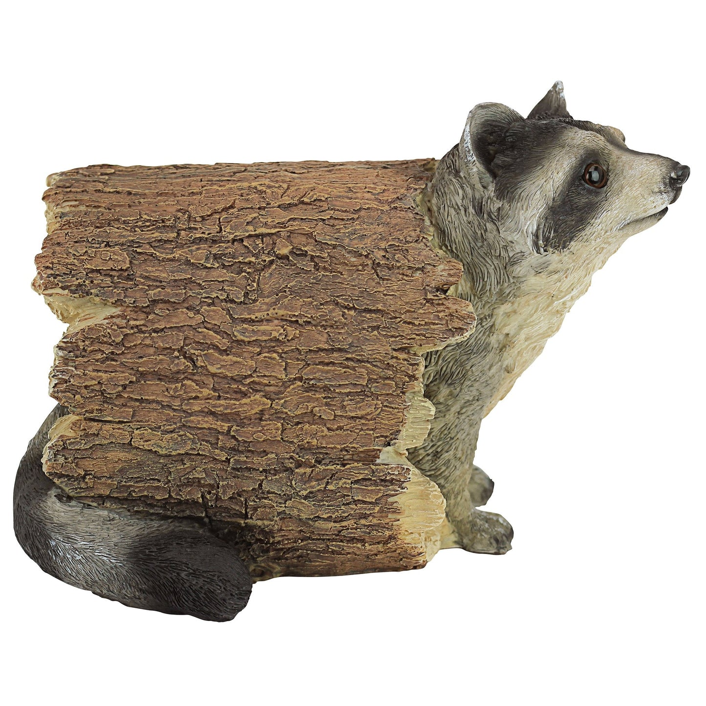 Design Toscano Bandit the Raccoon Garden Animal Statue, 25.5 cm, Polyresin, Full Color, Brown
