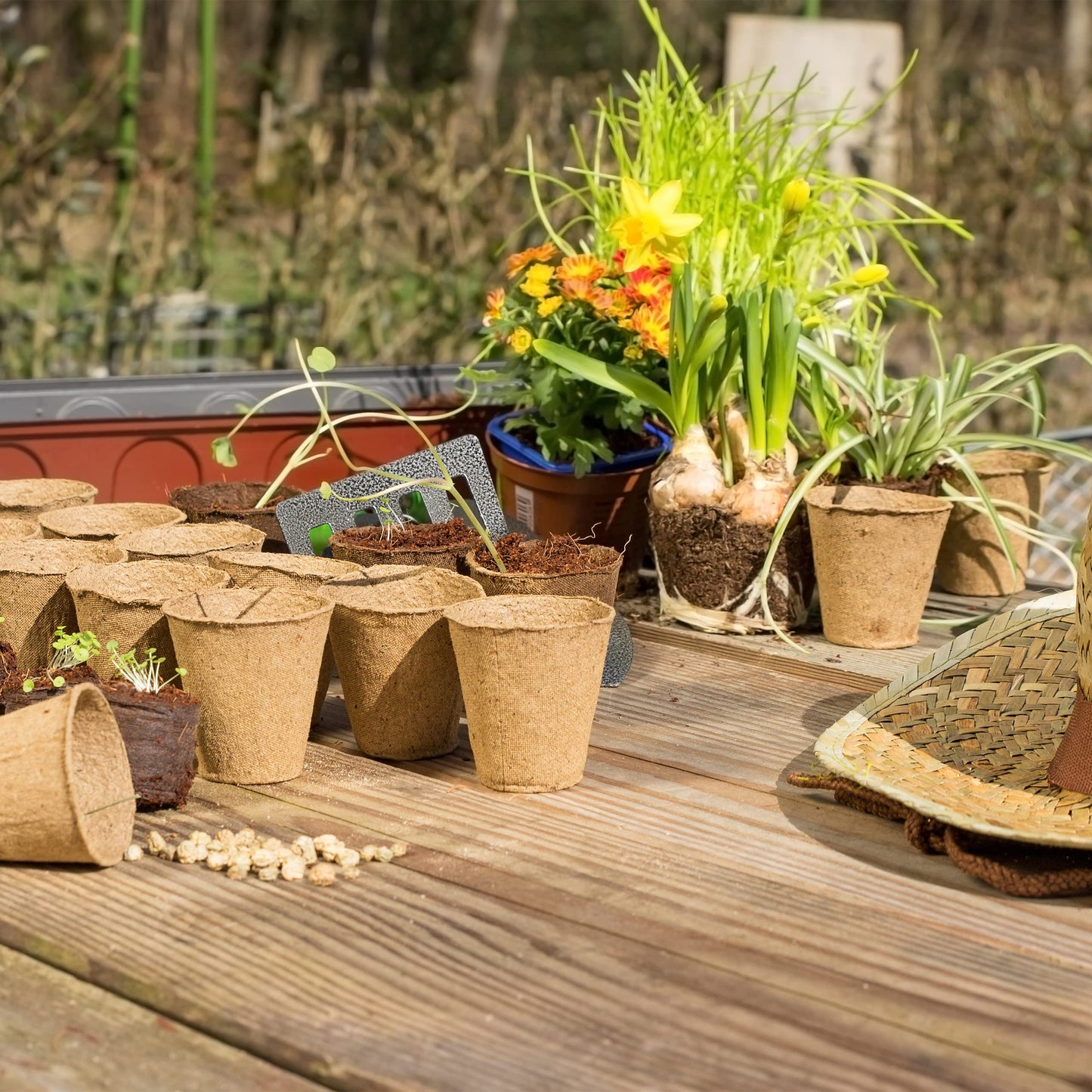 Relaxdays Set of 120 Biodegradable Cellulose Cultivation Pots H x D 7.5 x 8 cm Round Propagators Small Natural