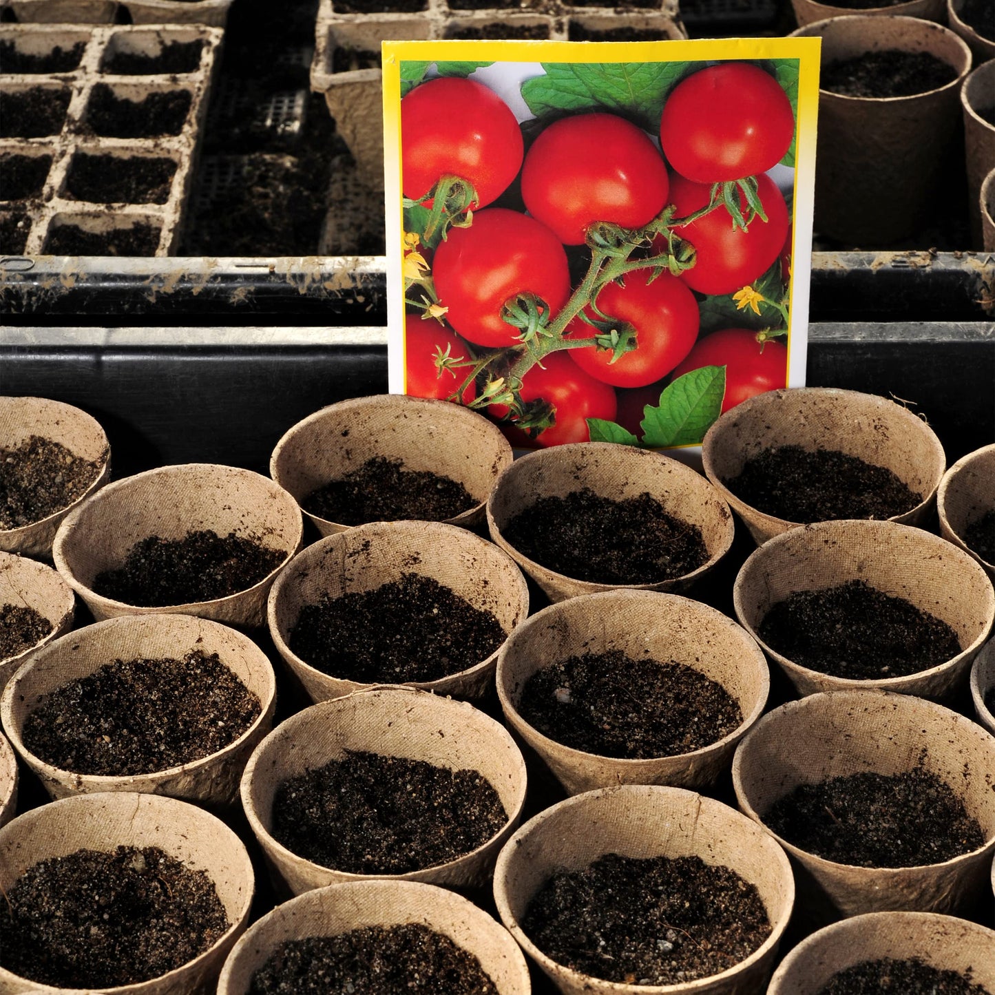 Relaxdays Set of 120 Biodegradable Cellulose Cultivation Pots H x D 7.5 x 8 cm Round Propagators Small Natural