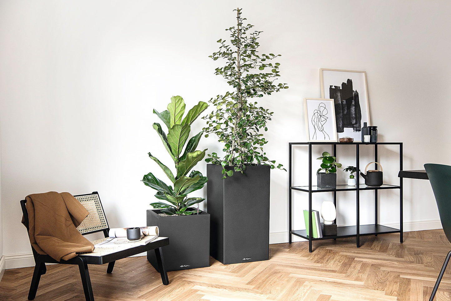 Lechuza Self Watering Plant Pot CANTO Stone 30 Low Plastic Indoor and Outdoor Plant Pot with Drainage Hole H30 L30 W30 cm Graphite Black