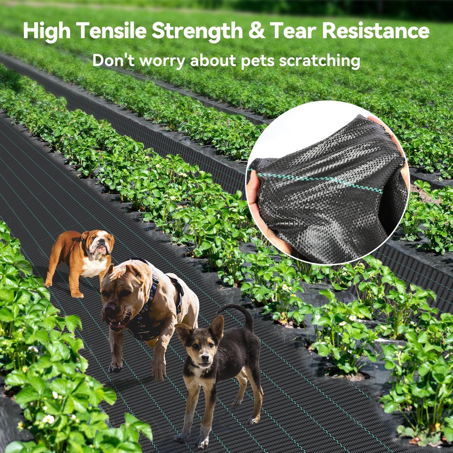 iropro 3m x 25m Heavy Duty Weed Control Membrane Garden Weed Barrier Fabric for Landscaping Driveway Gravel Artificial Grass Lawn Underlay Black Woven