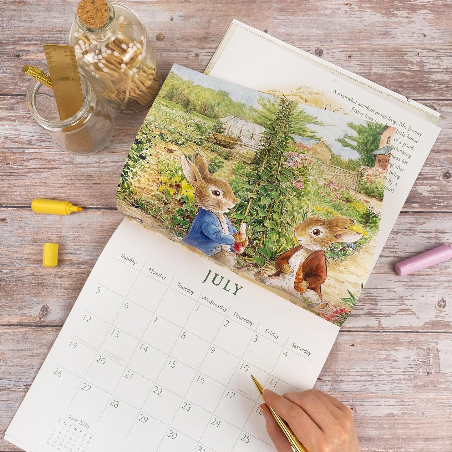Peter Rabbit 2026 Square Wall Calendar | Monthly Planner with Beatrix Potter Illustrations | Classic Character Calendar for Home or Office
