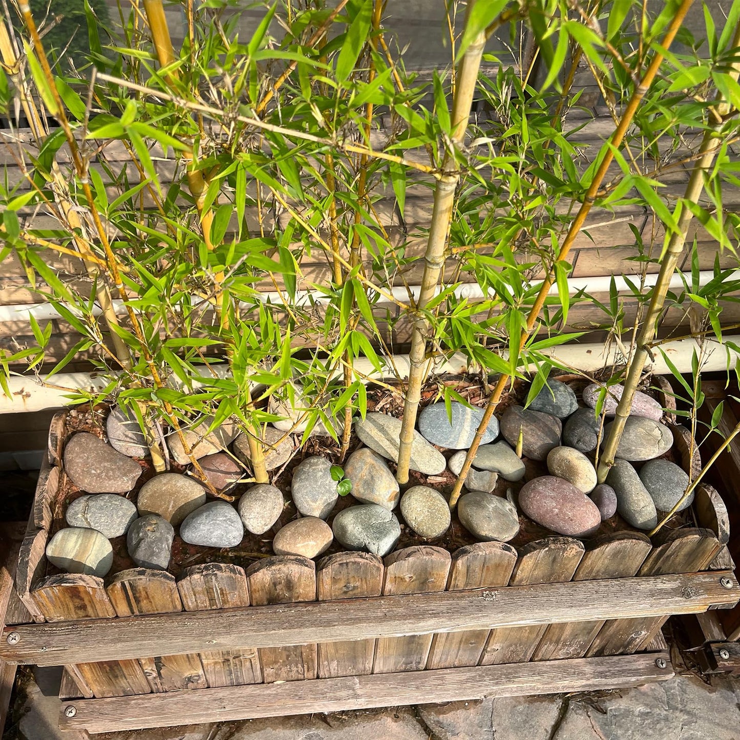 FANTIAN 20 lbs Garden Stones,4-6 cm Large Beach Cobbles. Decorative Pebbles for Garden, Plant Pots, Ponds, Water Features, Aquarium Stones and Ground