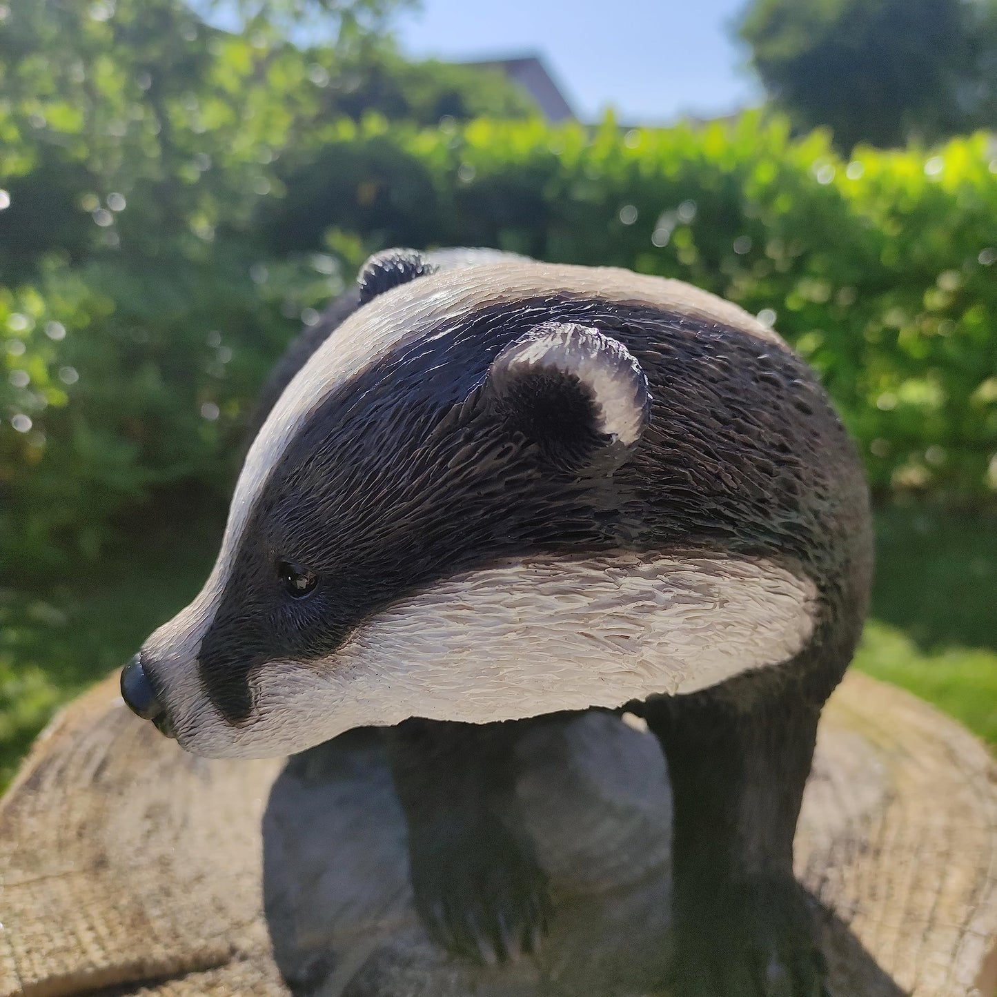 Real Life Woodland Badger | Highly Detailed Frost Resistant Resin Home or Garden Decoration | XRL-BADG-D