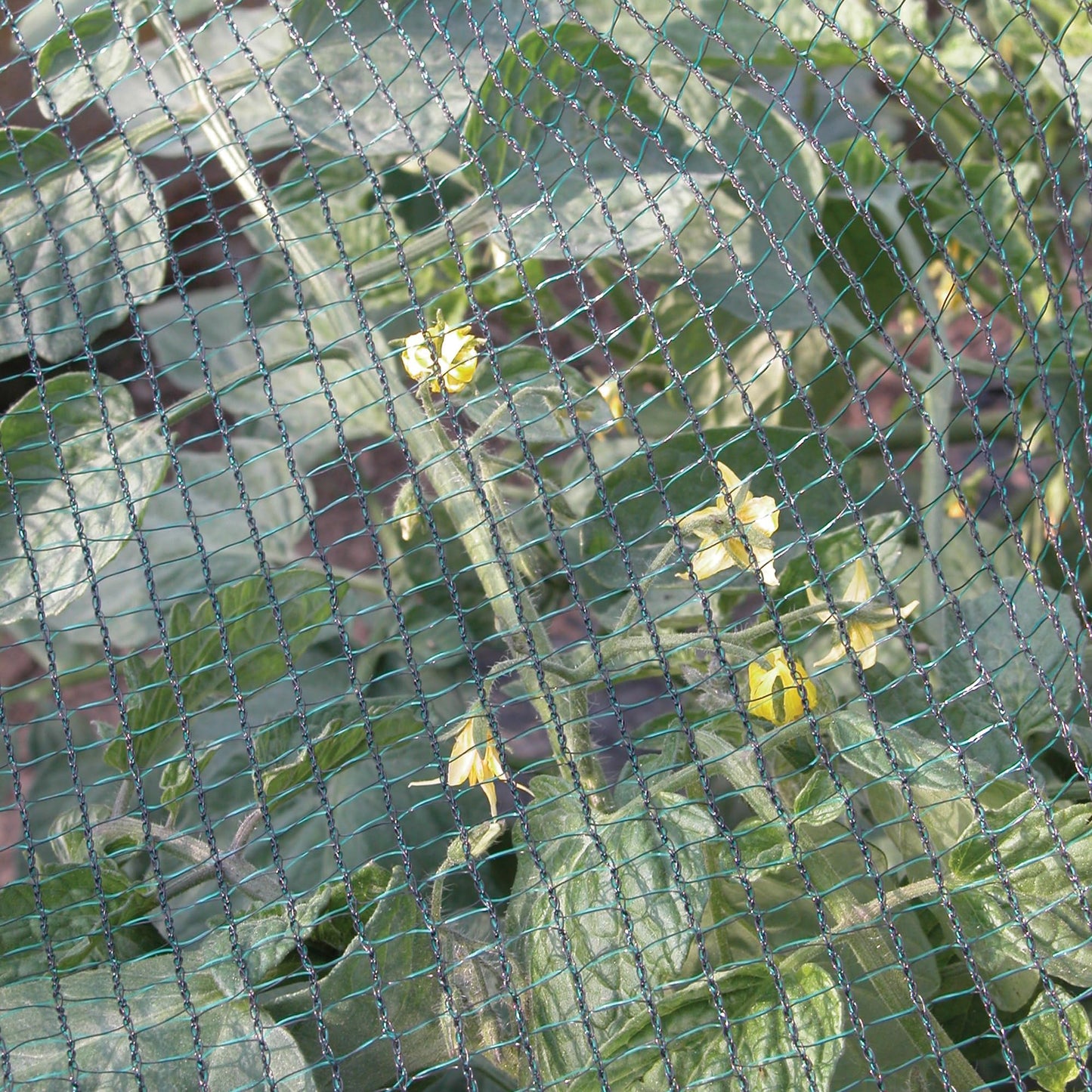 Woven Mesh 6,00 x 10 m green