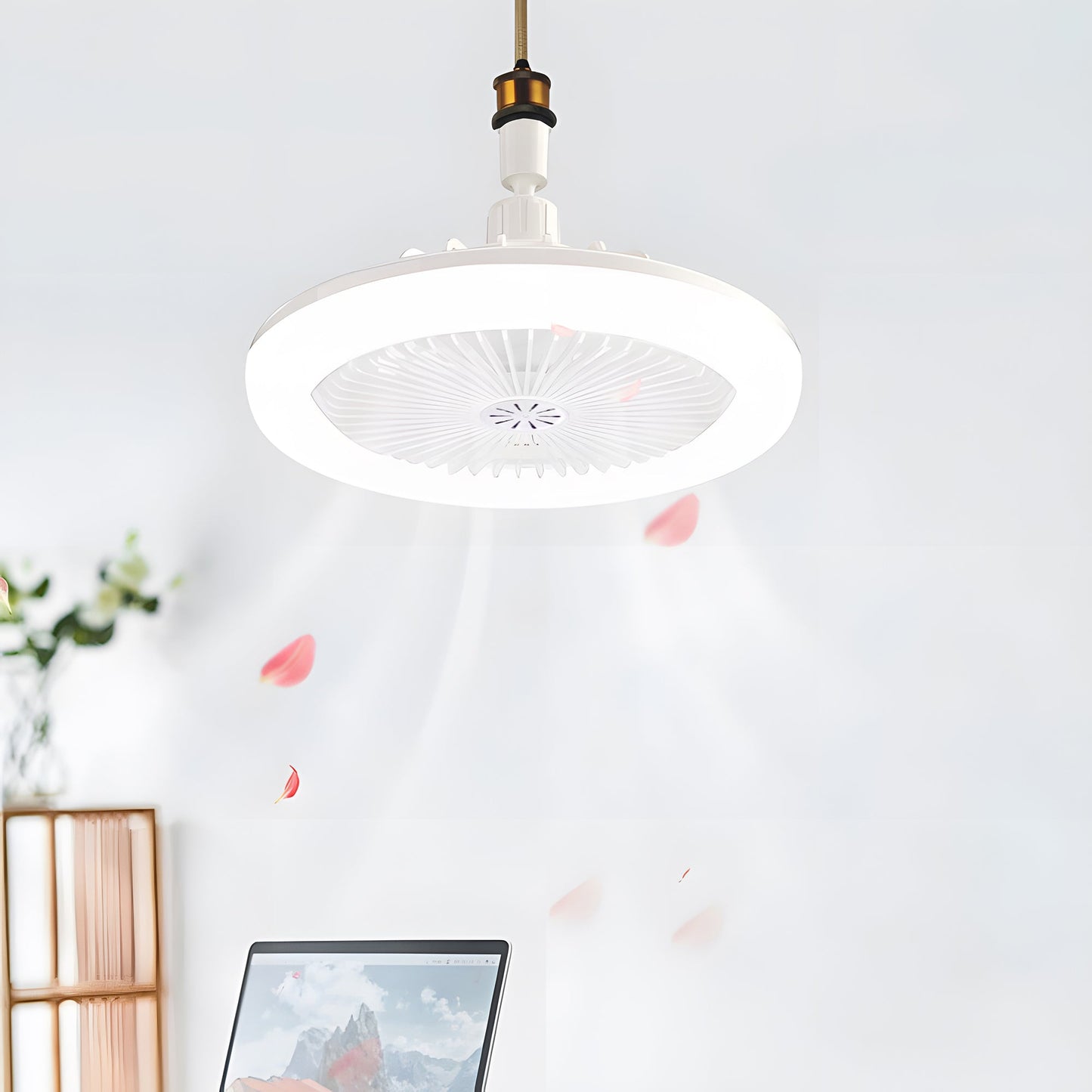 Ceiling Fan with Light