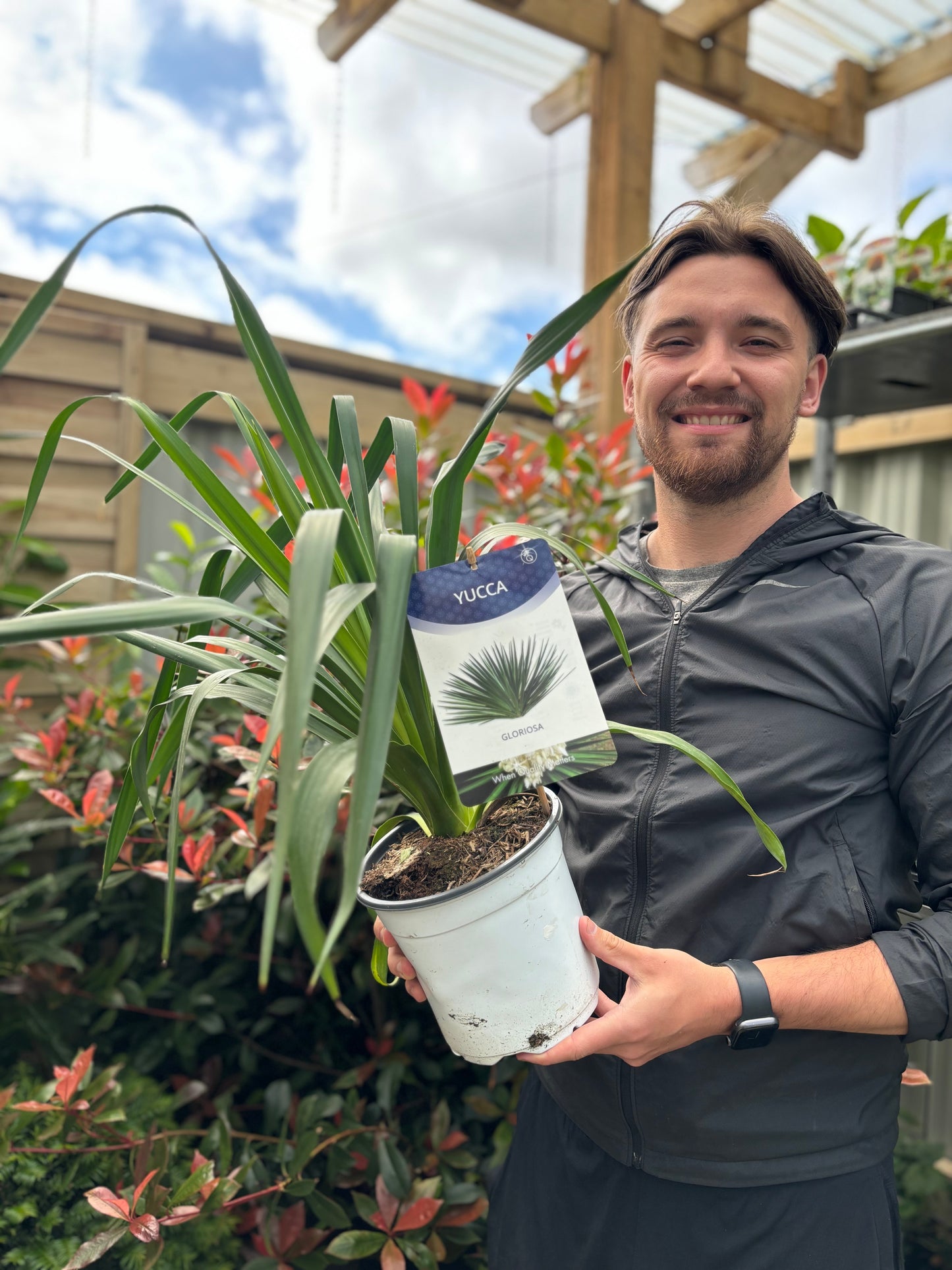 Yucca 'Gloriosa' 3L