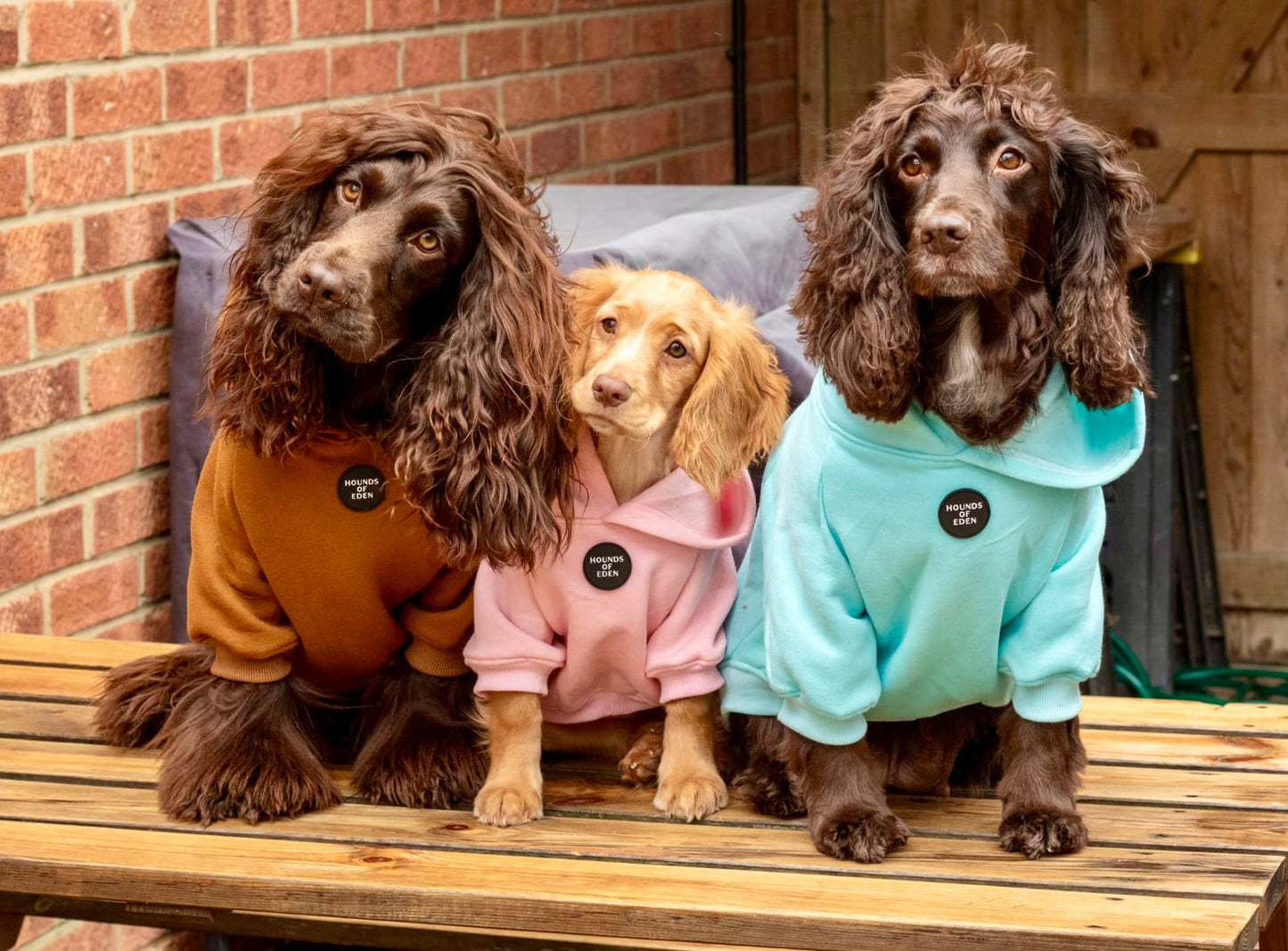 Dog Hoodie - Brown