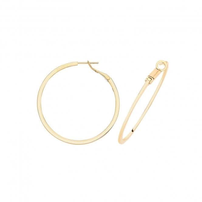 9ct Gold Omega Back Hoops ER1194