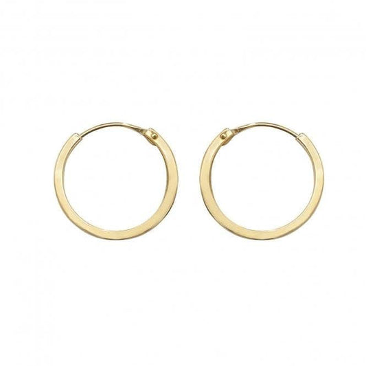 9ct Yellow Gold 10mm Sleepers Earrings ES148
