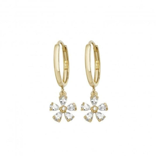 9ct Yellow Gold Drop Earrings ER1114