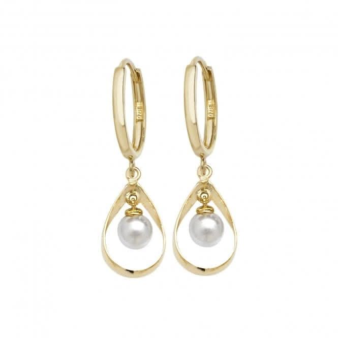 9ct Yellow Gold Drop Earrings ERR1135