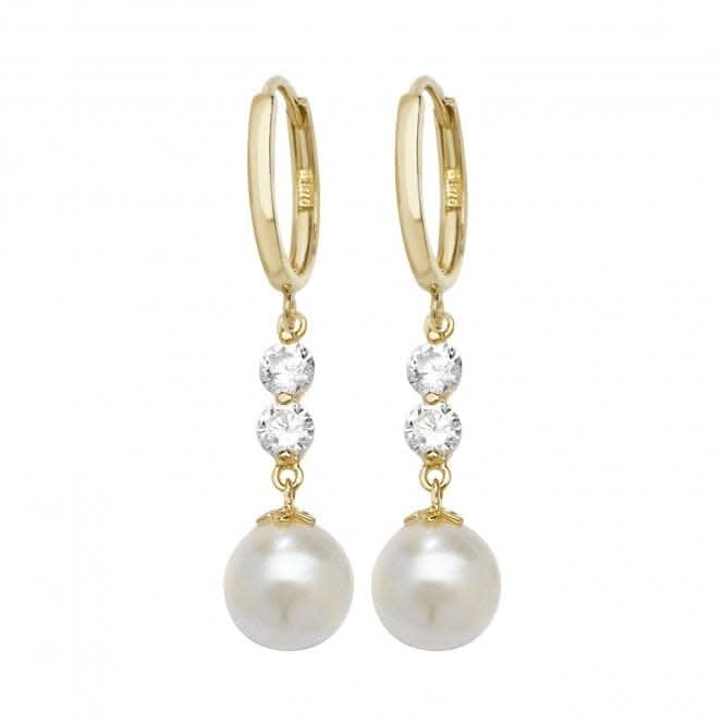 9ct Yellow Gold Drop Earrings ER1142