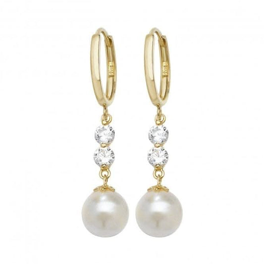 9ct Yellow Gold Drop Earrings ER1142
