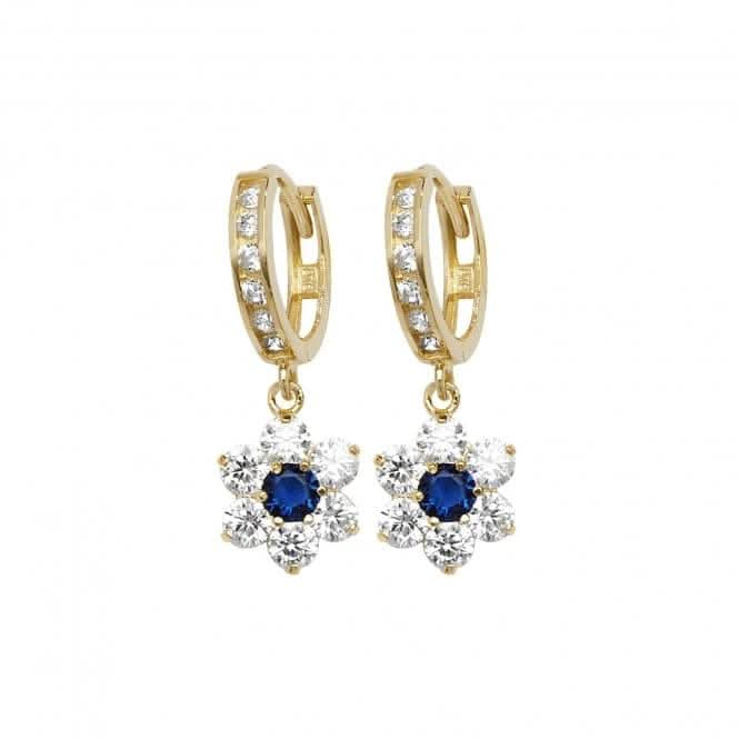 9ct Yellow Gold Drop Earrings ER1145S