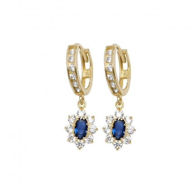9ct Yellow Gold Drop Earrings ER1146S