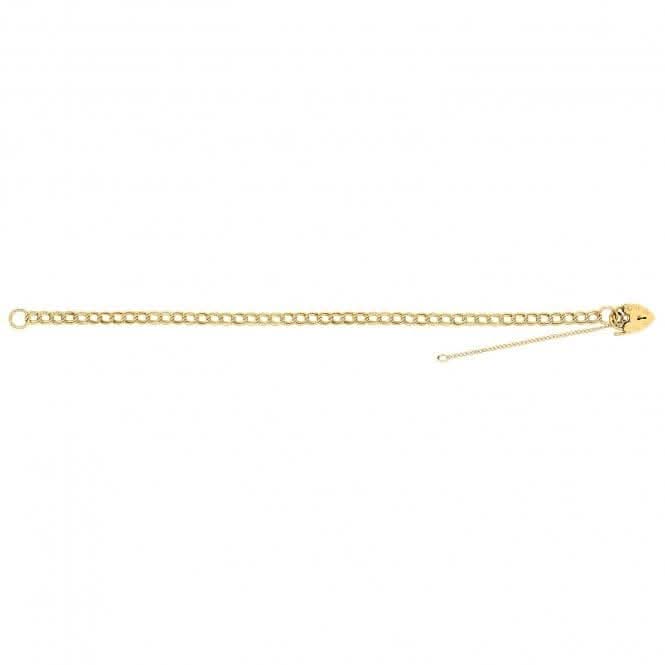 9ct Yellow Gold Ladies Charm Bracelet BR117