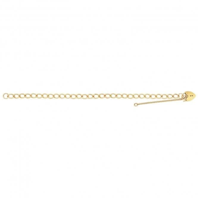 9ct Yellow Gold Ladies Charm Bracelet BR103
