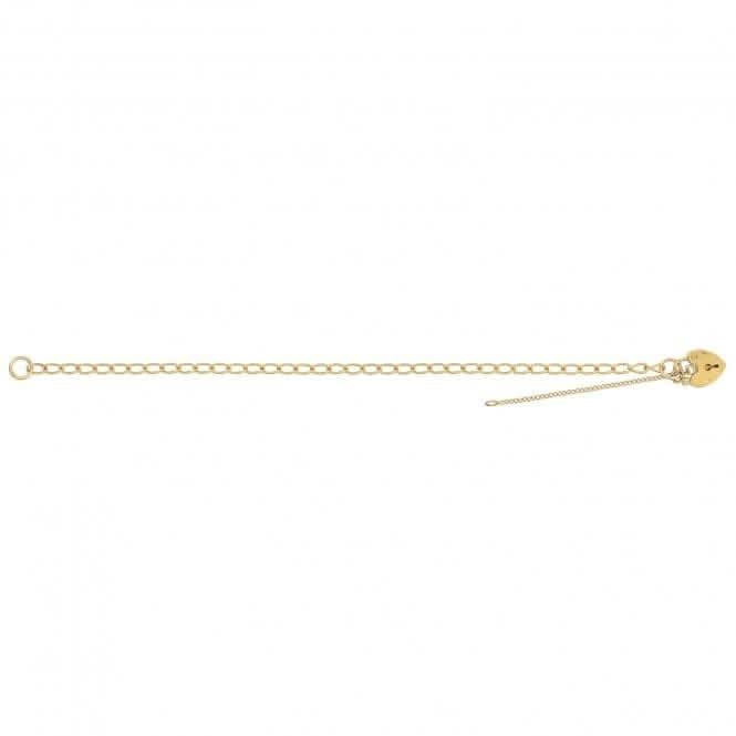 9ct Yellow Gold Charm Bracelet BR101