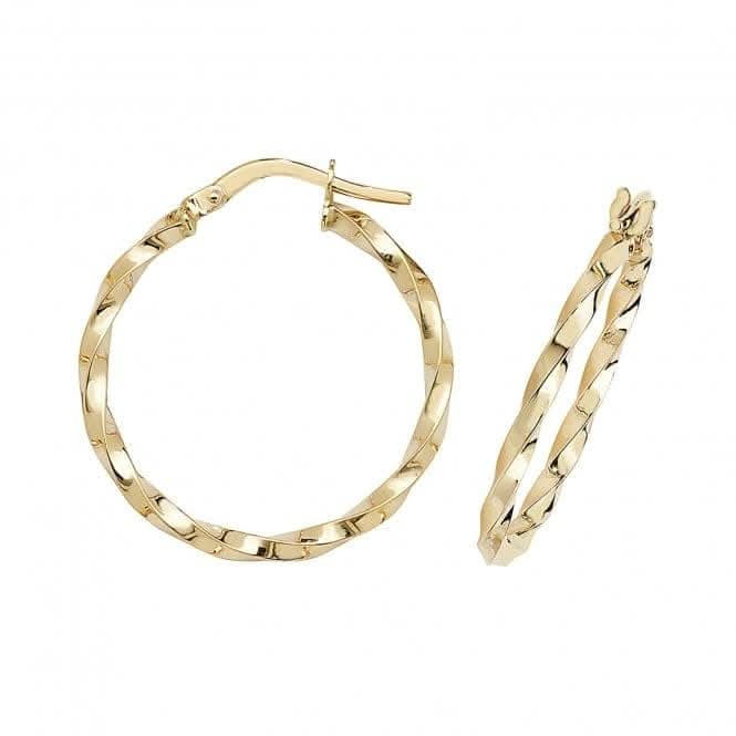 9ct Yellow Gold Oval Hoop Earrings ER1008