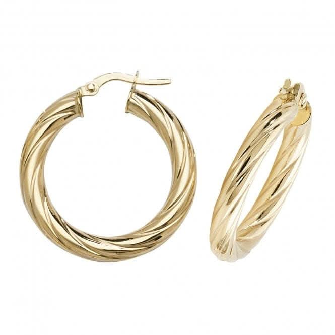 9ct Yellow Gold Oval Hoop Earrings ER1059