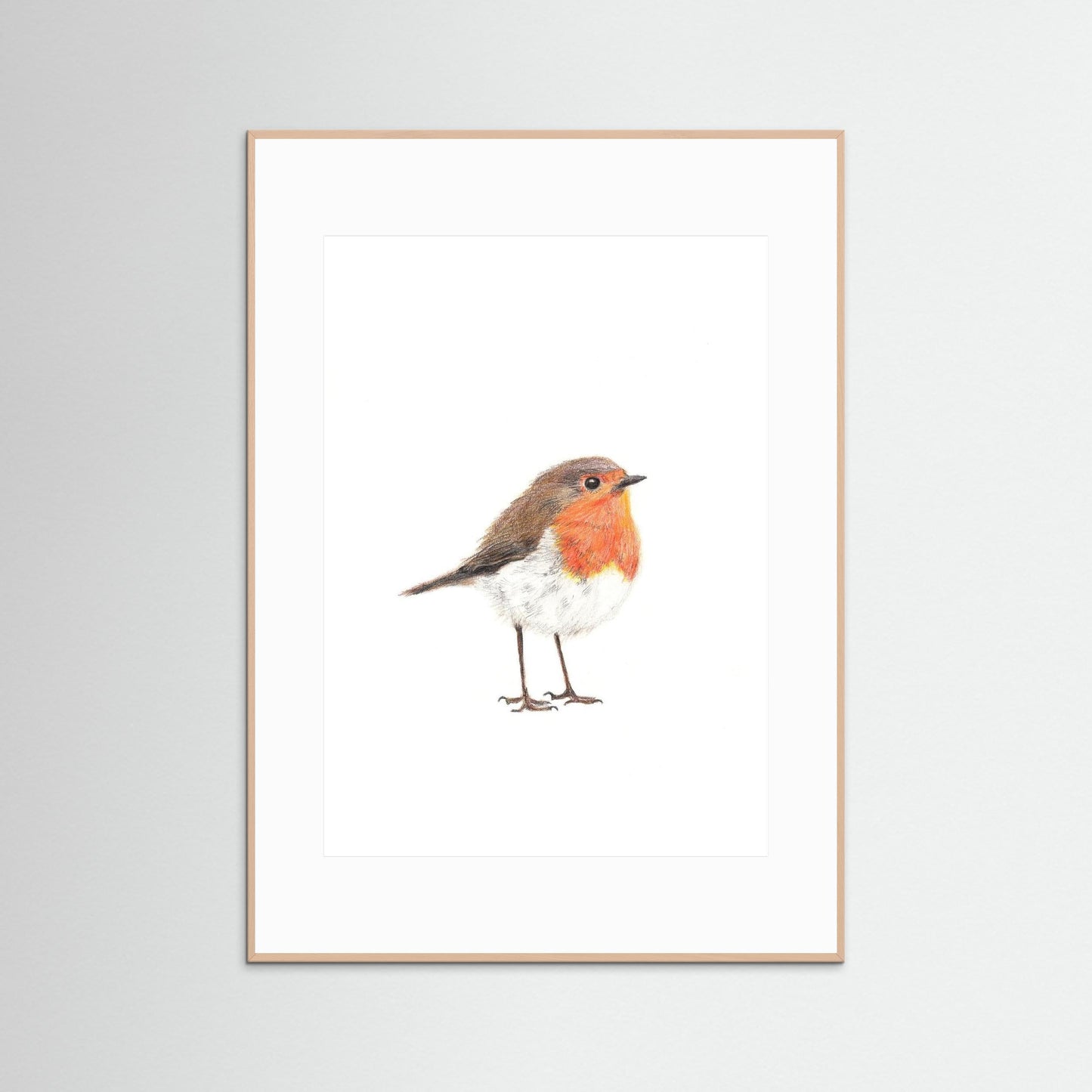 Robin Woodland Art Print