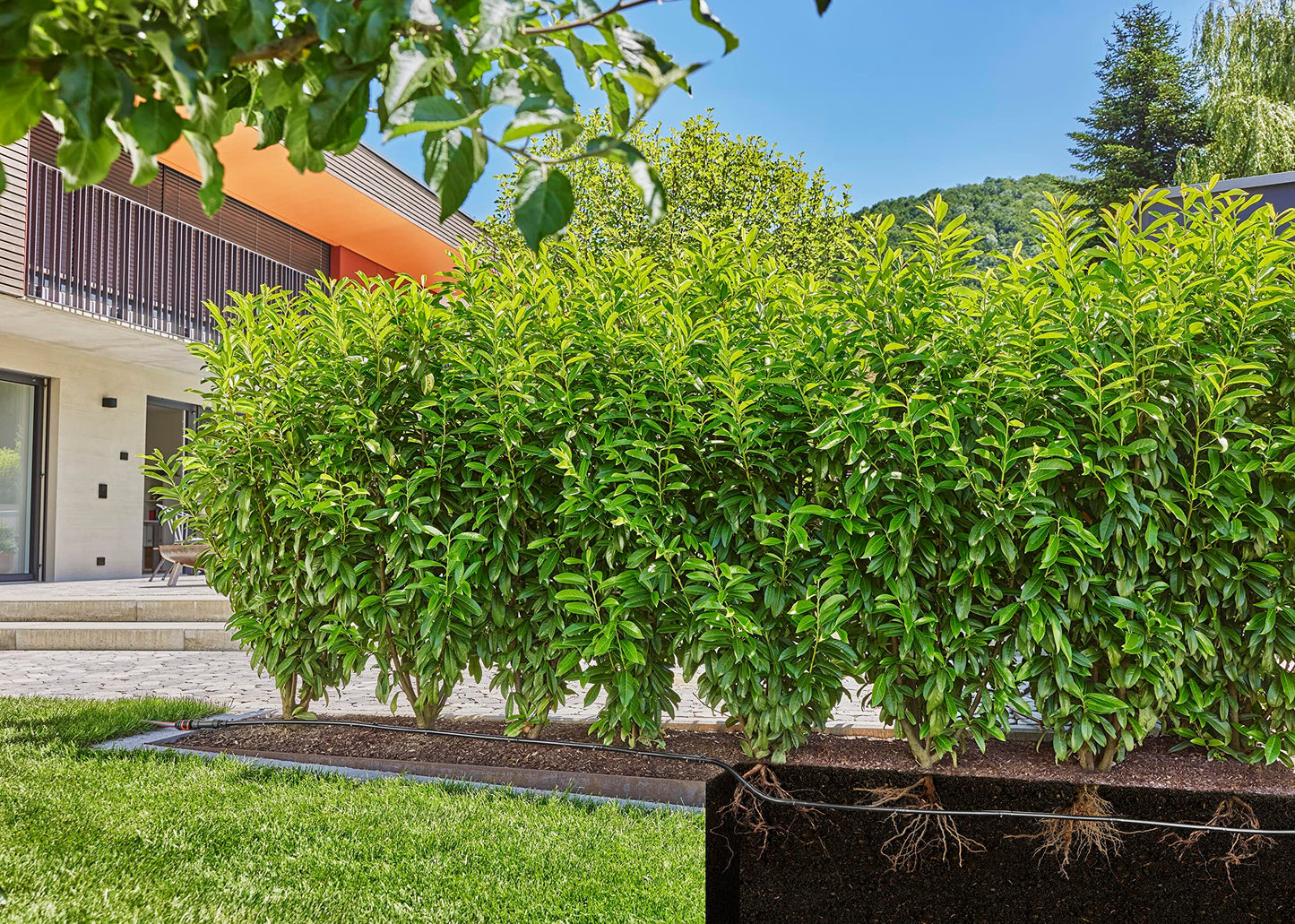 Gardena Micro-Drip-System Drip Irrigation Set Hedges/Bushes (50 m): Starter set, ready to use, water-saving irrigation system, simple & flexible