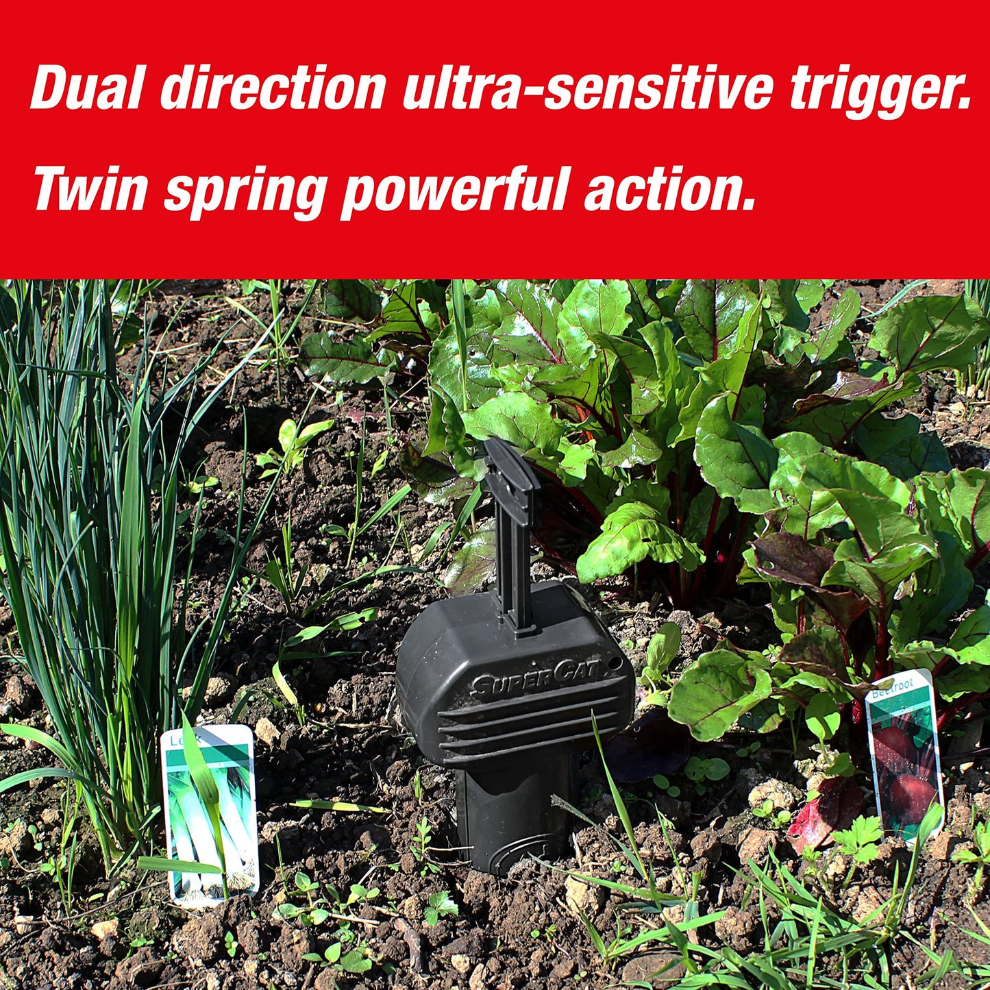 SWISSINNO Vole Trap PRO SuperCat with Accessory Set - Efficient Snap Trap for Field and Mole Control, Patented Trigger Mechanism, Safe and Reusable -